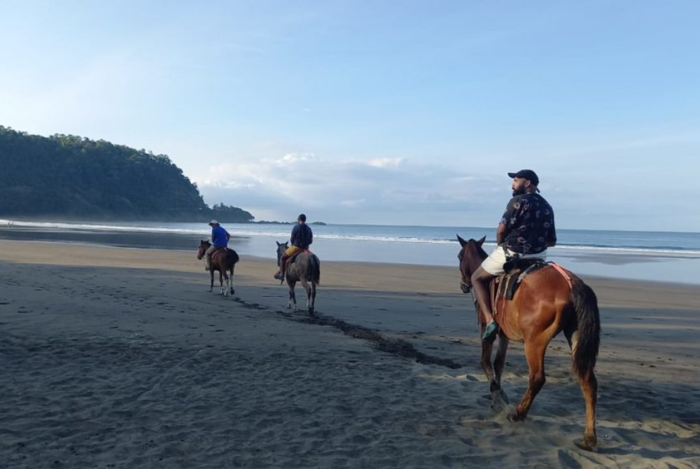 horseback-riding-mp