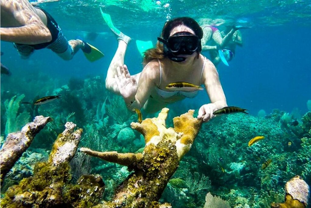 tortuga-island-tour-wp