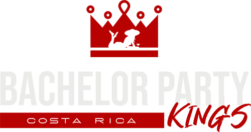 bachelorkingslogored500