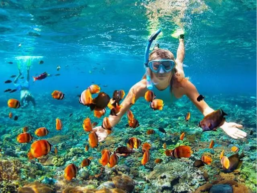 tortuga-island-tour-bp