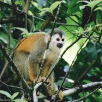 Processed with VSCO with a6 preset